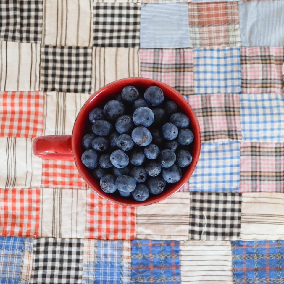 Food healthy berry