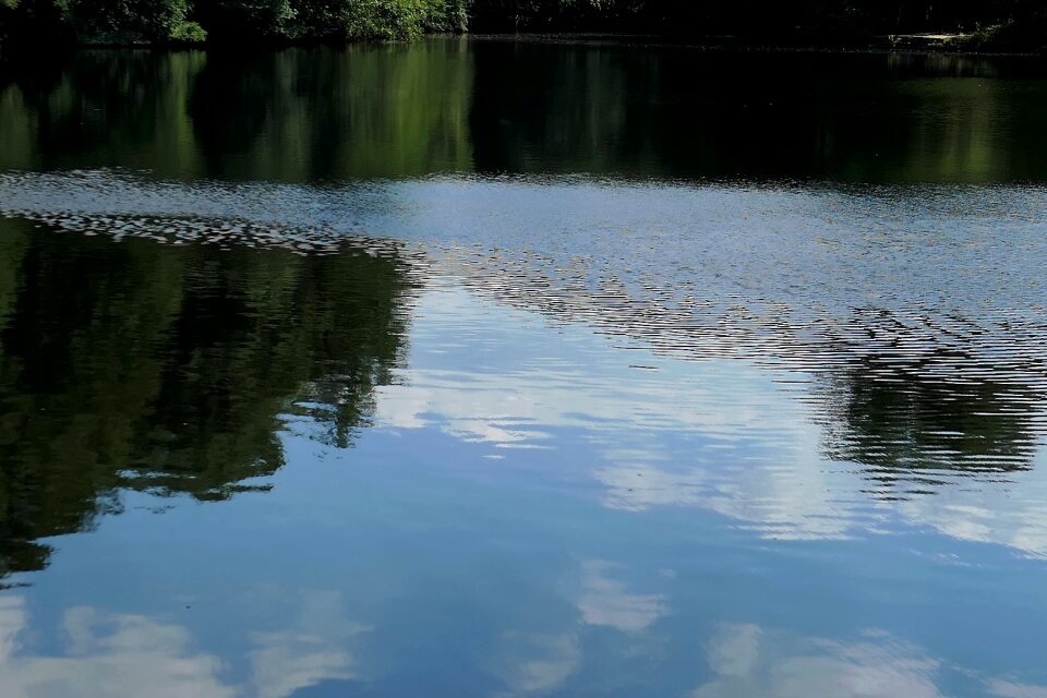 Reflection nature mood