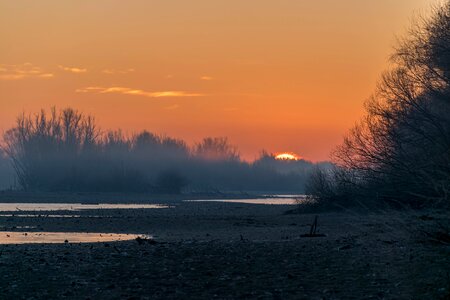 Outdoors sunrise trees photo