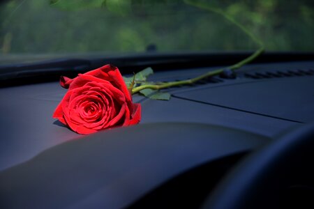 Love romantic romance