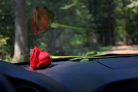 Love romantic romance