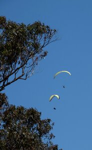 Flying sport adventure