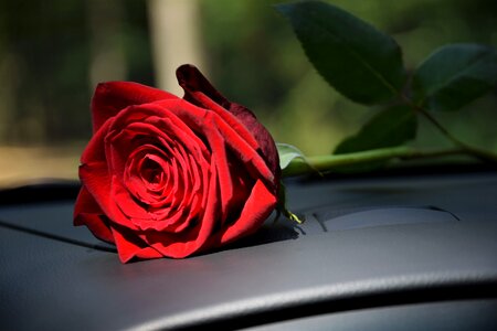 Romantic romance feeling