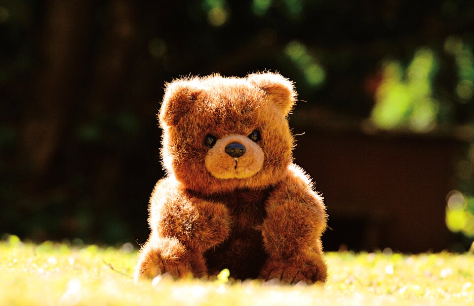 Teddy bear plush stuffed animal photo