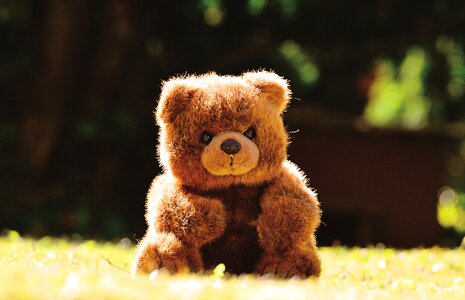 Teddy bear plush stuffed animal