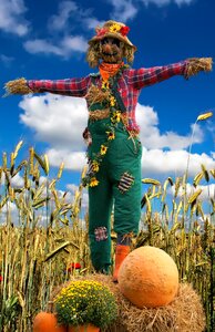 Straw agriculture cereals