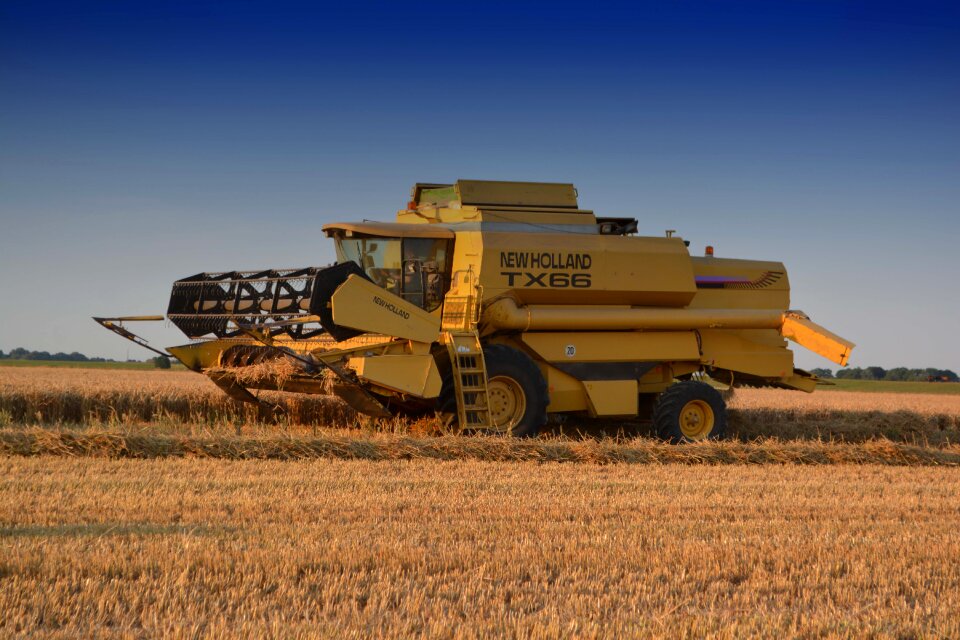 Harvest nature rolling harvest time