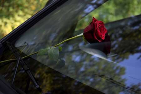 Romance feeling affection