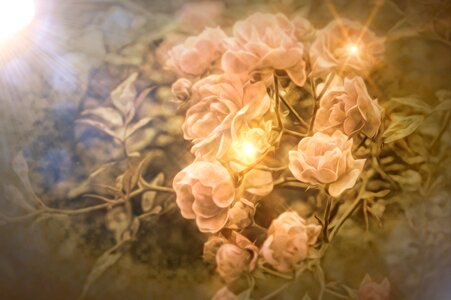 Fantasy mood spring