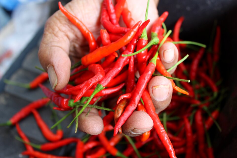 Food savory nature