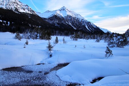 Frost snow cold photo