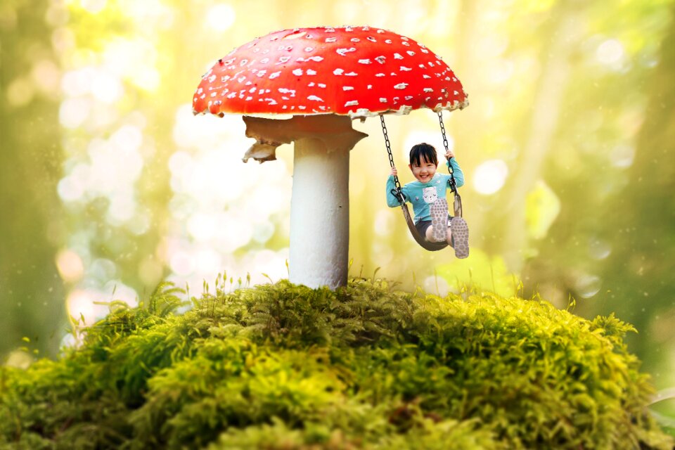 Mushroom moss bokeh