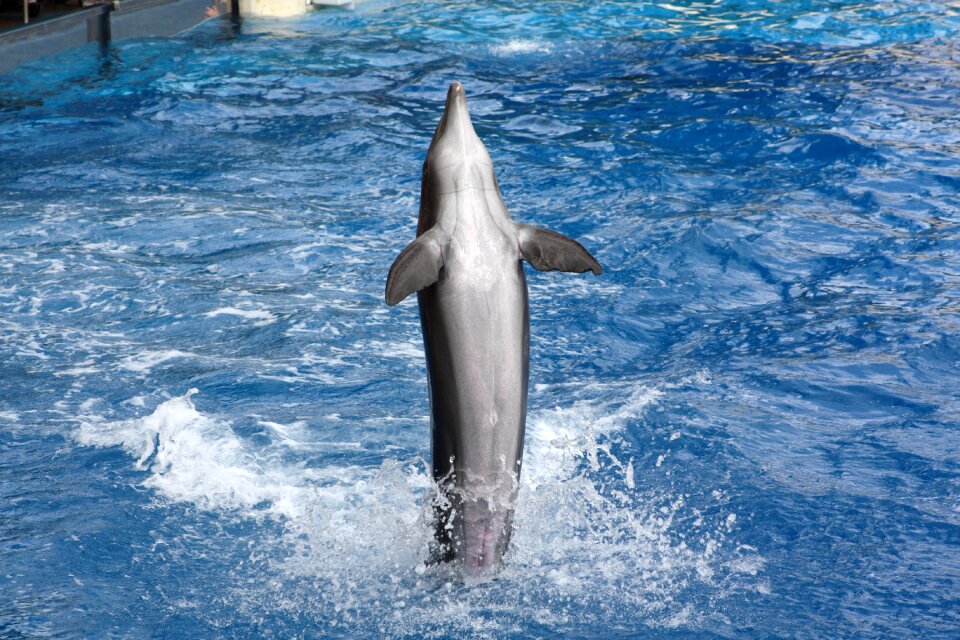 Sea world water vacations