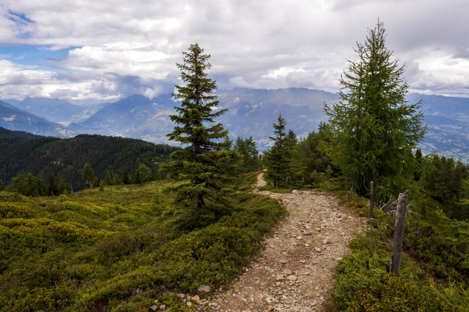 Travel hiking forest