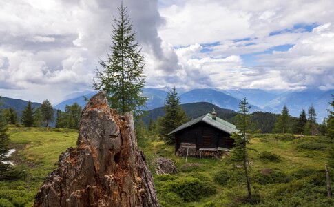 Mountains landscape tree stump