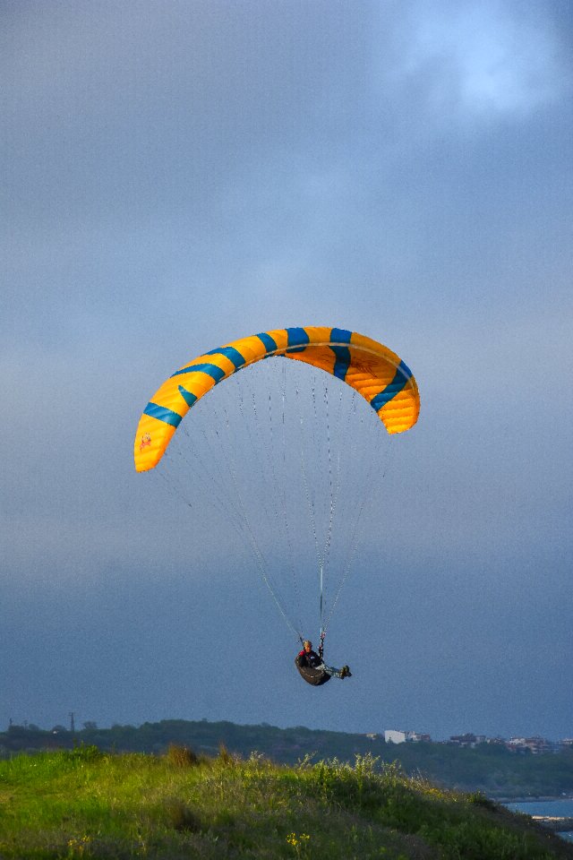 Flight flying freedom