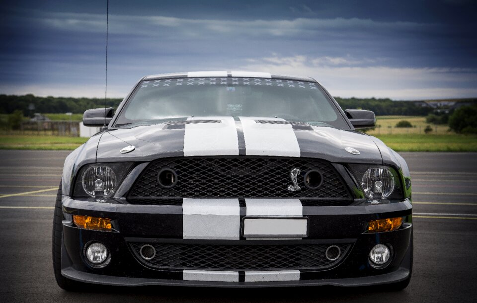 Mustang vehicle ford mustang