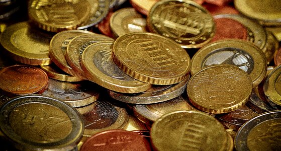Euro specie loose change