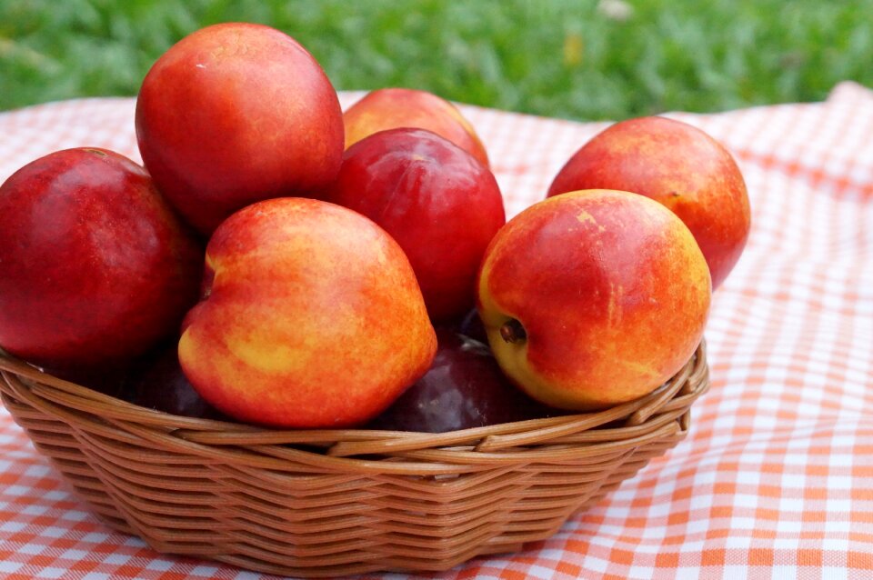 Healthy vitamin tasty