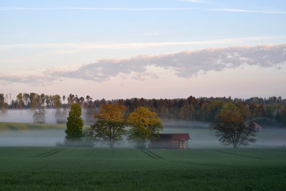 Nature fog stand up