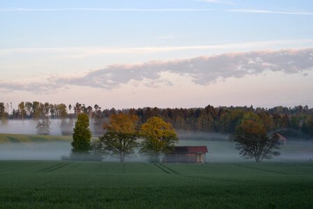Nature fog stand up