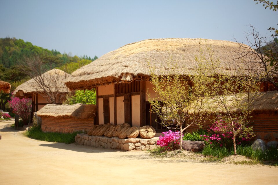 Traditional thatch roofed hose traditional houses
