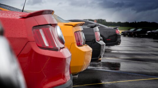 Mustang vehicle ford mustang