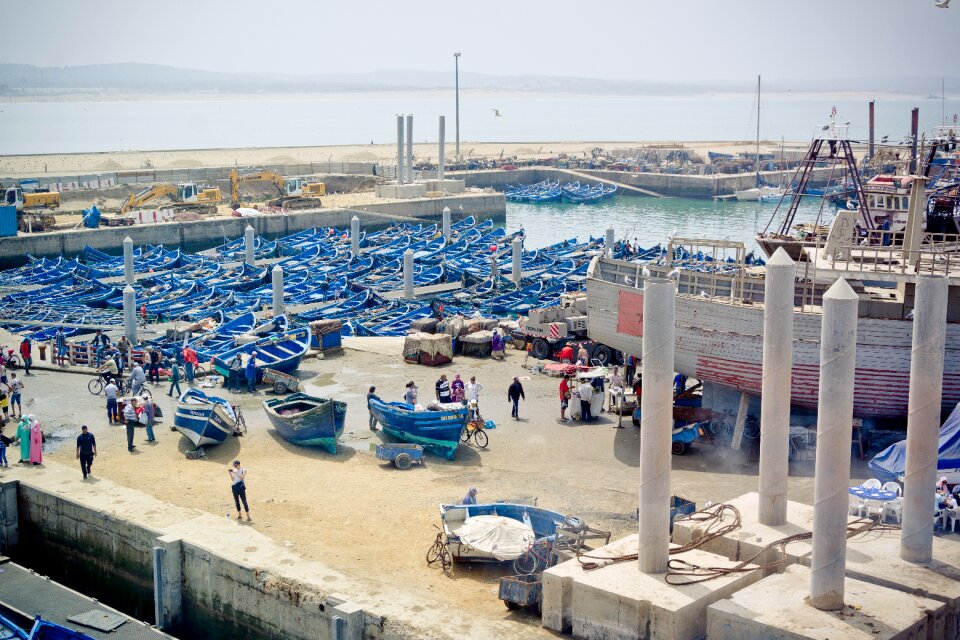 Port fish port boats photo