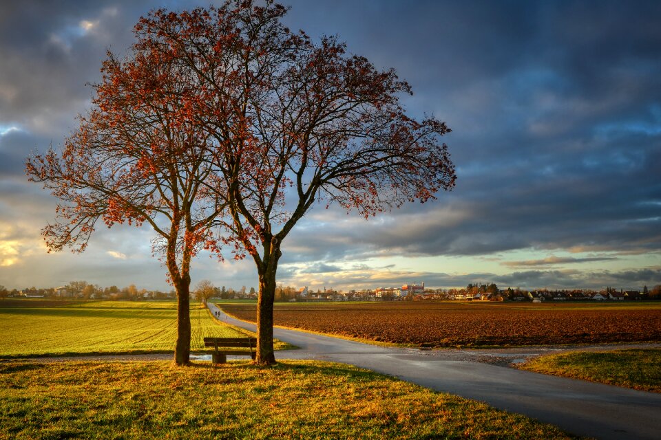 Bank meadow fields