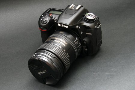 Camera digital photography