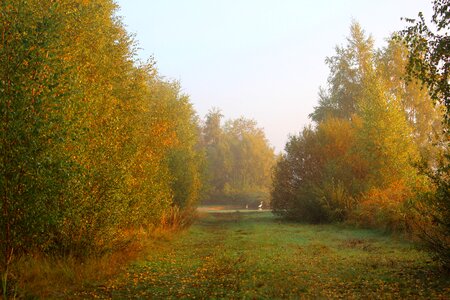 Autumn morning landscape photo