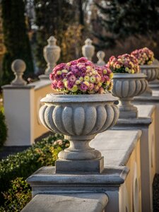 Historically castle flowers