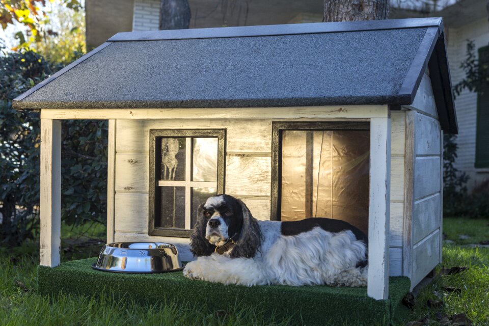 Kennels for pets dog pet