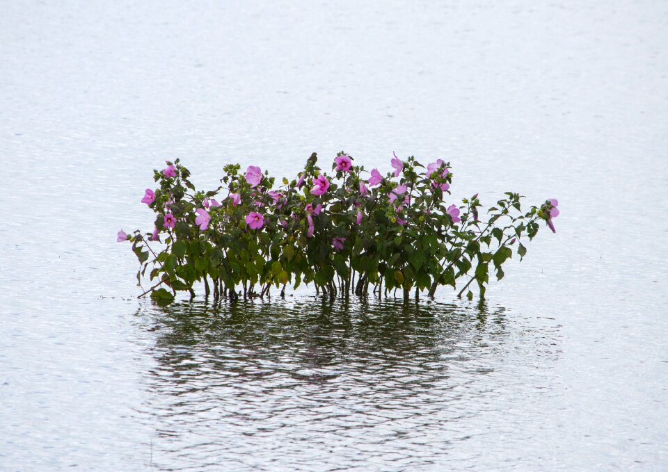 Sea landscape nature