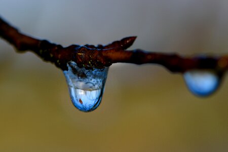 Drop winter macro