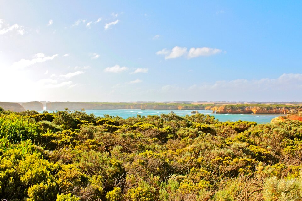 Ocean coast landscape