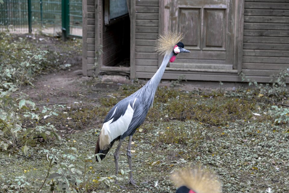 Prieser zoo animal park peter moor