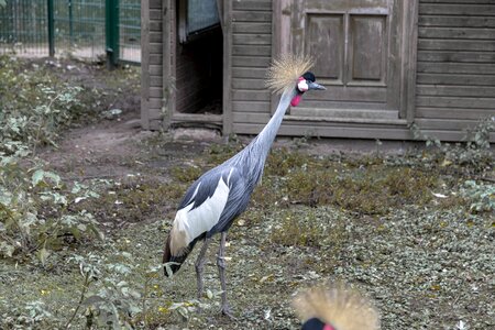 Prieser zoo animal park peter moor
