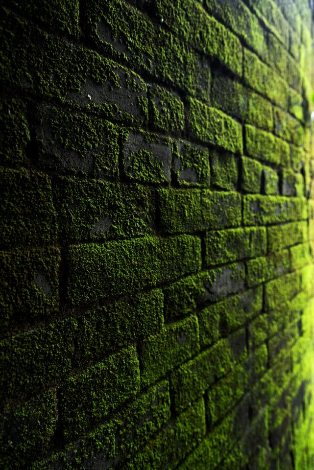 Natural green outdoor