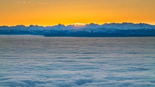 Fog mood selva marine photo