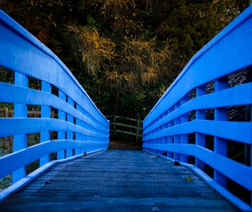 Trees railing scenic photo