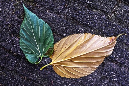 Texture street nature
