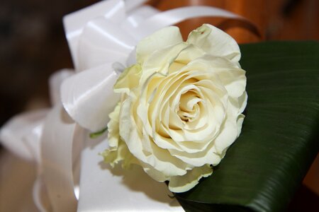 Flower bow decoration