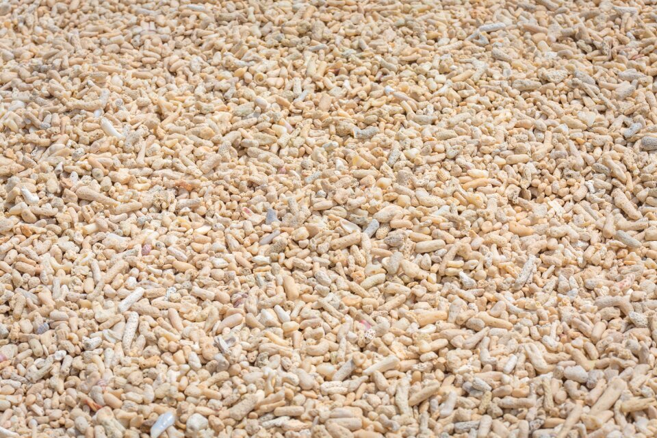 Stone coral material