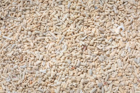Stone coral material