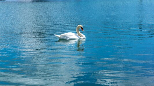 Water blue reflection photo