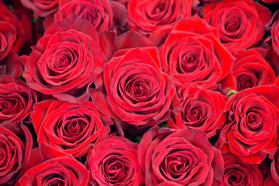 Romance love romantic