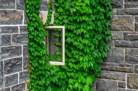 Contract window green window