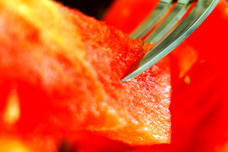 Watermelon nature bright