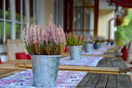Mood autumn romantic